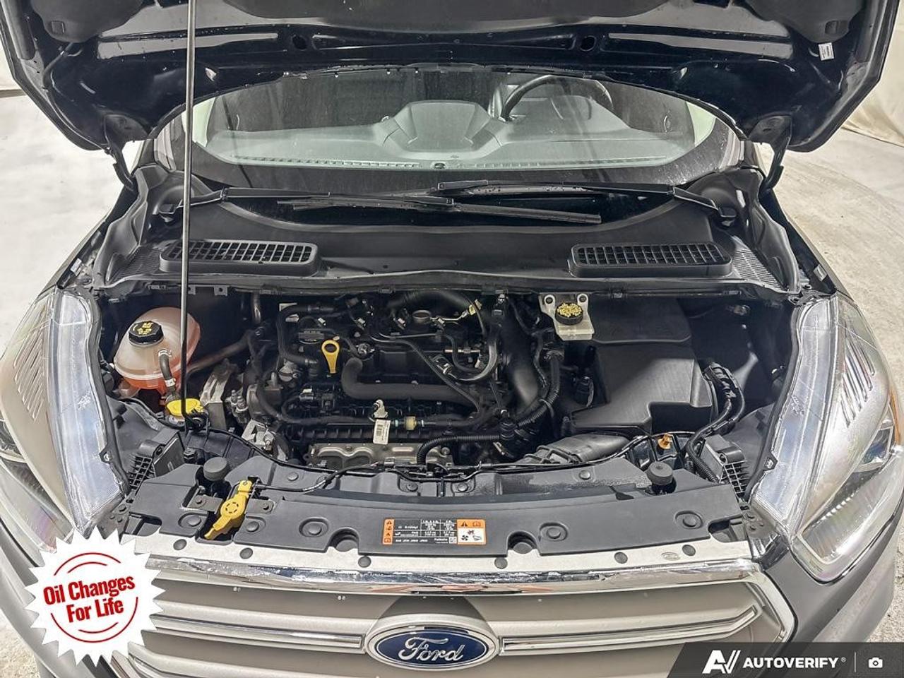 2019 Ford Escape SEL 4WD Photo