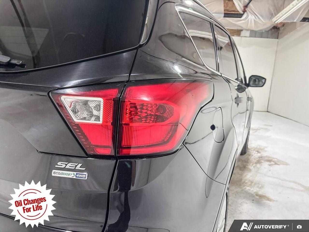 2019 Ford Escape SEL 4WD Photo