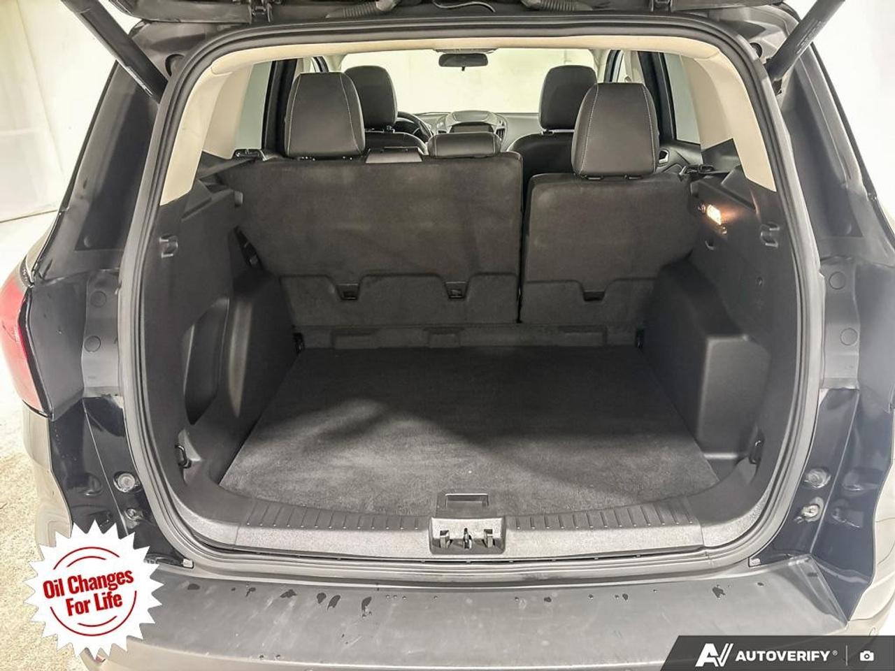 2019 Ford Escape SEL 4WD Photo