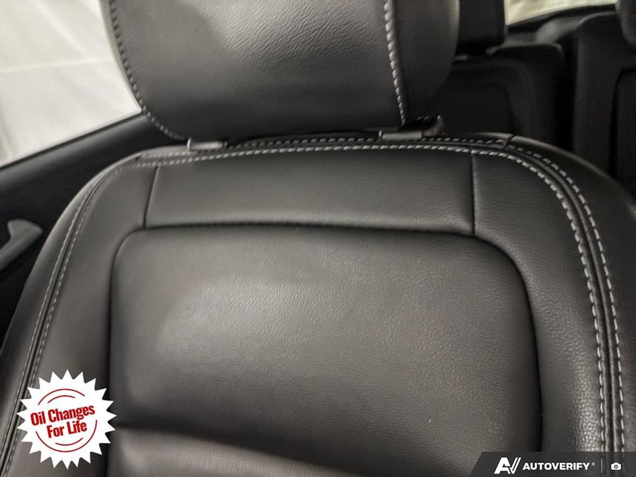 2019 Ford Escape SEL 4WD Photo