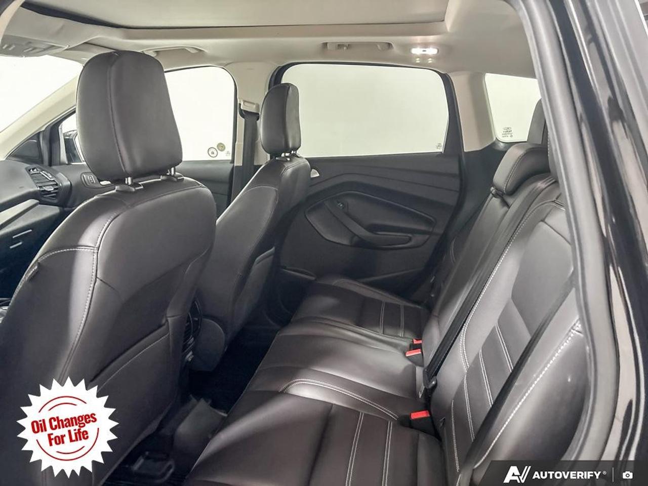 2019 Ford Escape SEL 4WD Photo