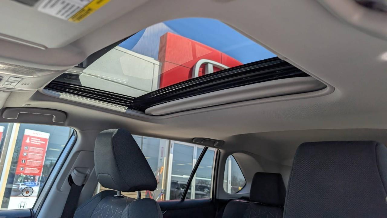 2023 Toyota RAV4 XLE 4dr All-wheel Drive Photo