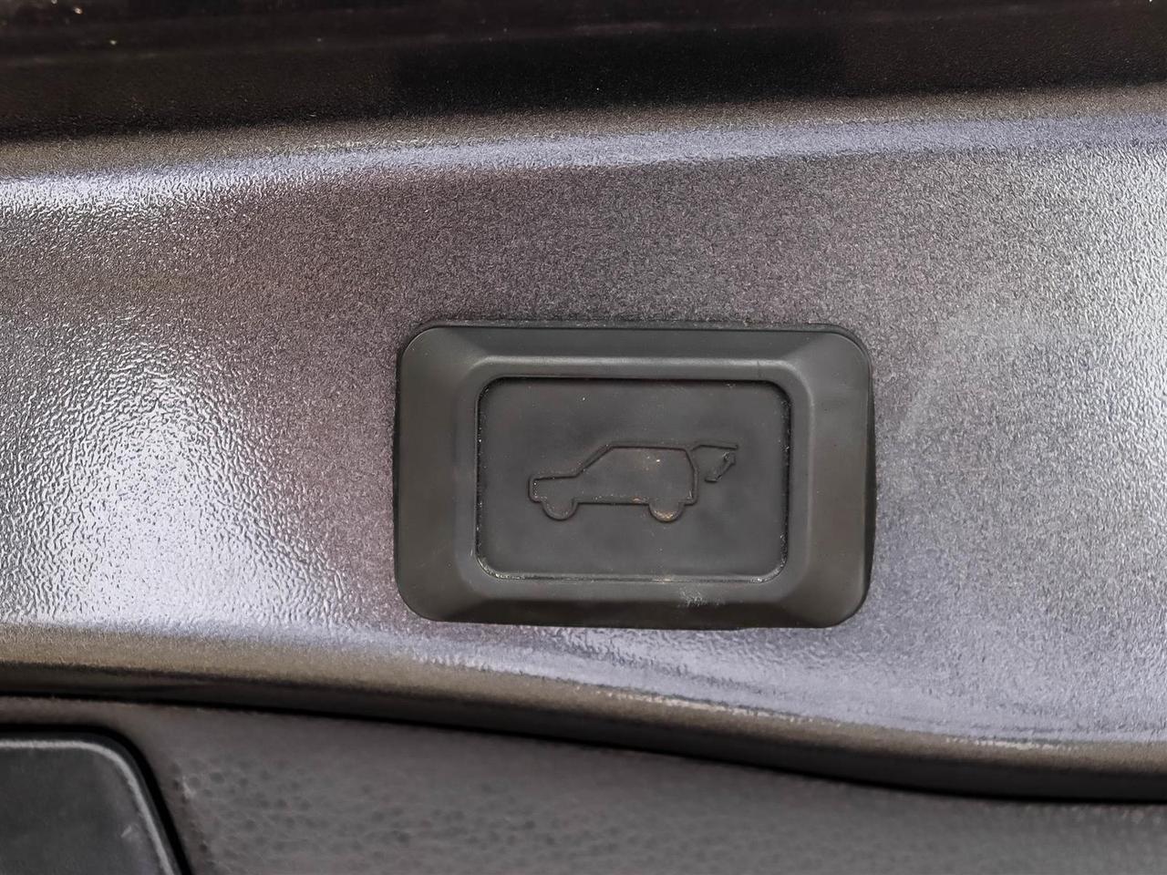 2024 Toyota RAV4 XLE Photo