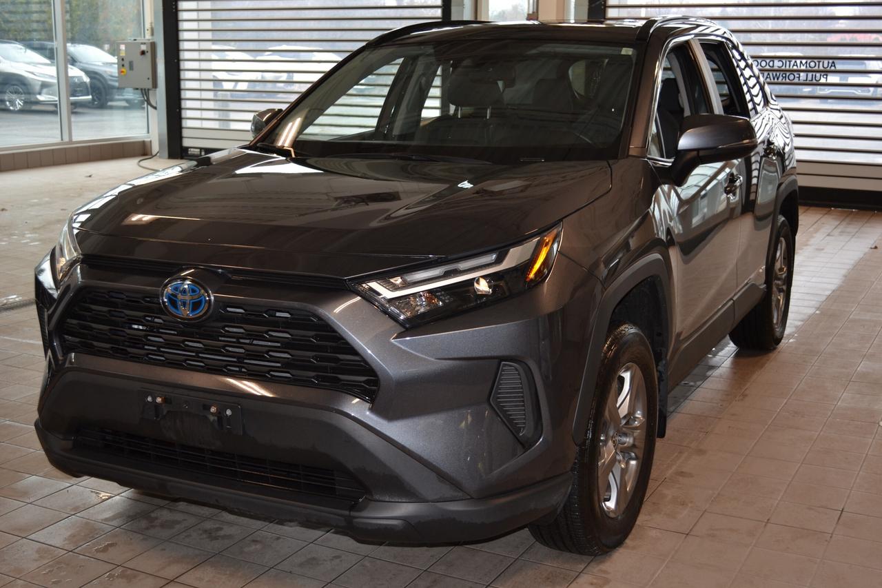 2024 Toyota RAV4 Hybrid XLE Photo