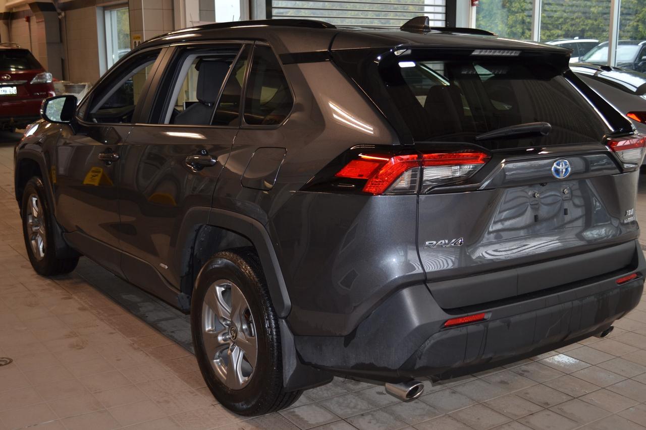 2024 Toyota RAV4 Hybrid XLE Photo