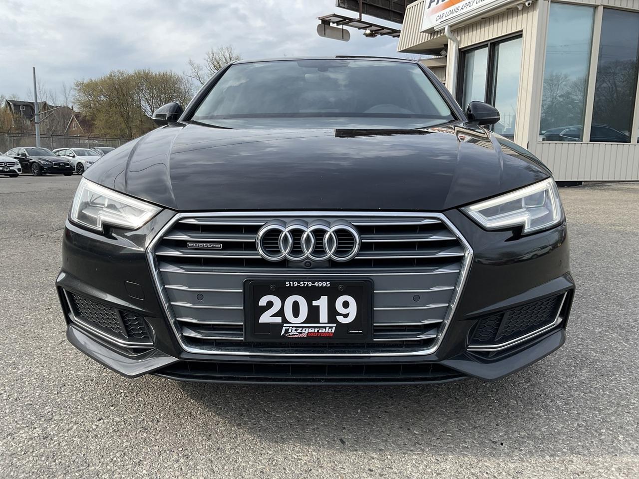 2019 Audi A4 2.0T Progressiv Quattro Sedan - LTHR! NAV! 360 CAM Photo
