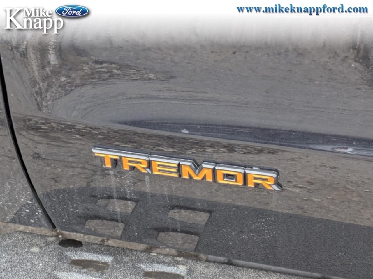 2026 Ford Expedition Tremor Photo