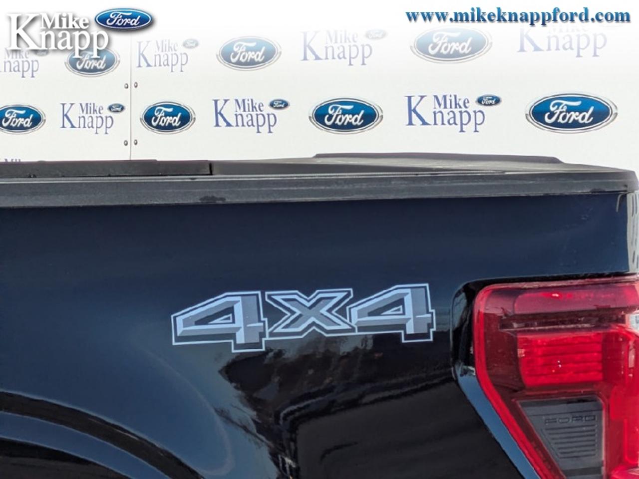 2026 Ford F-150 STX Photo