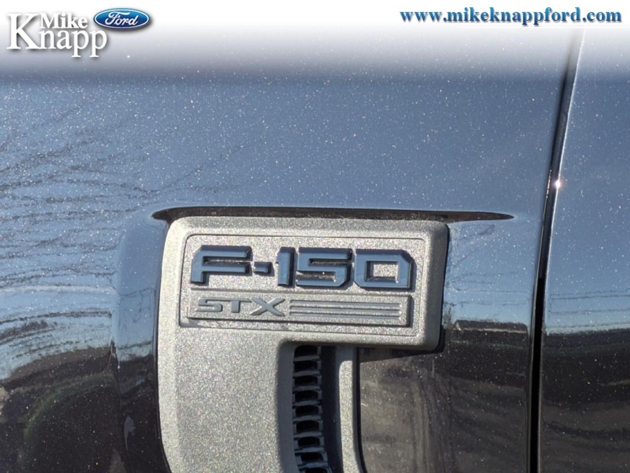2026 Ford F-150 STX Photo