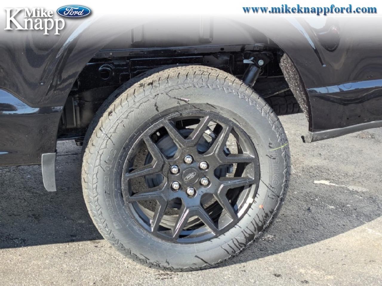 2026 Ford F-150 STX Photo