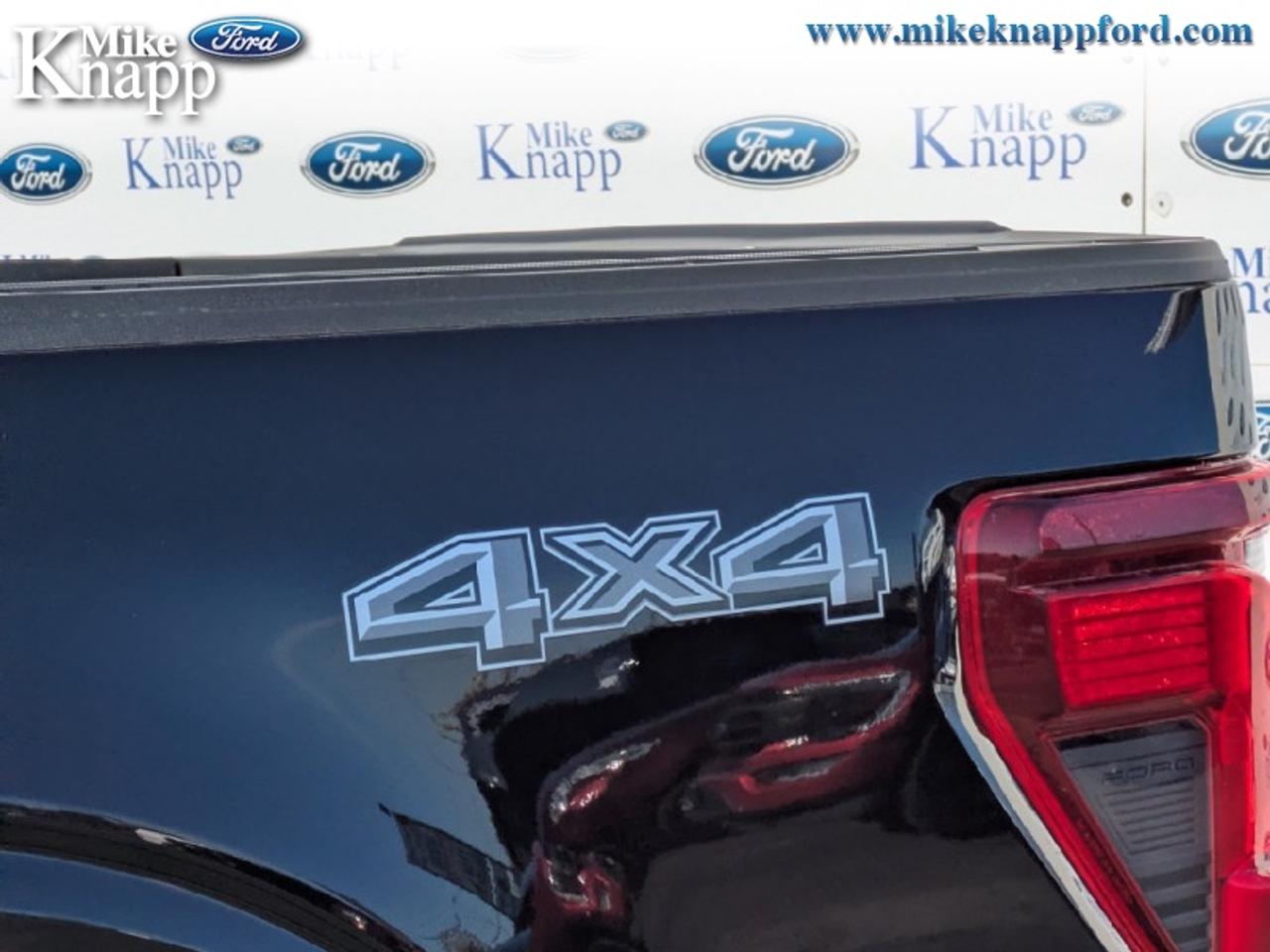 2026 Ford F-150 STX Photo
