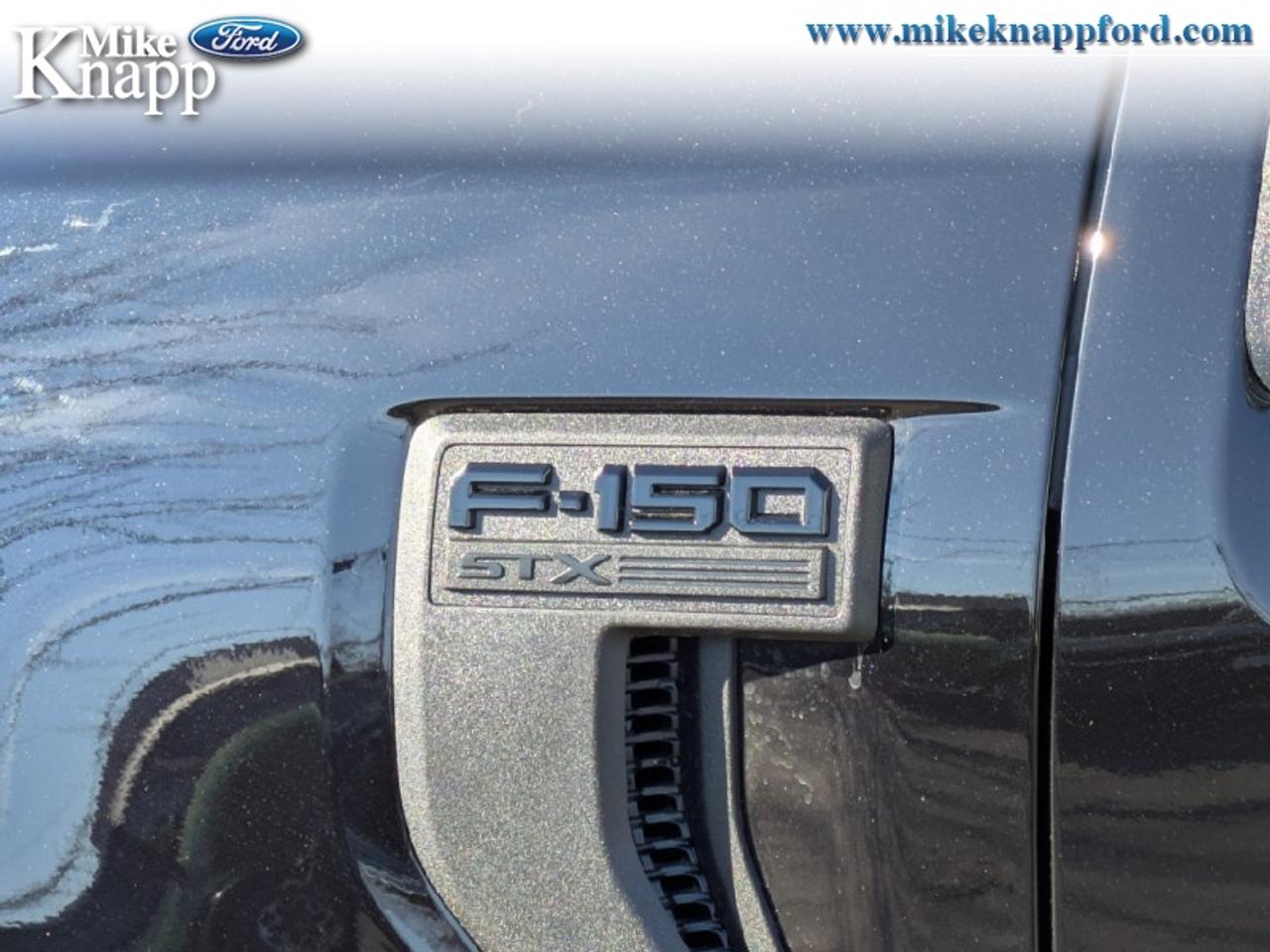 2026 Ford F-150 STX Photo