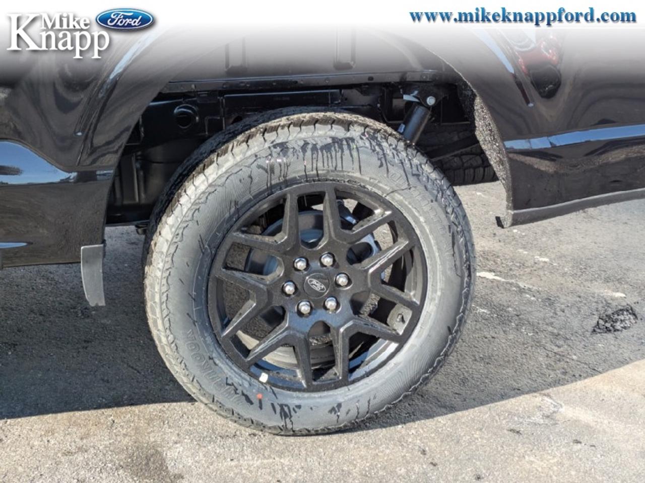 2026 Ford F-150 STX Photo