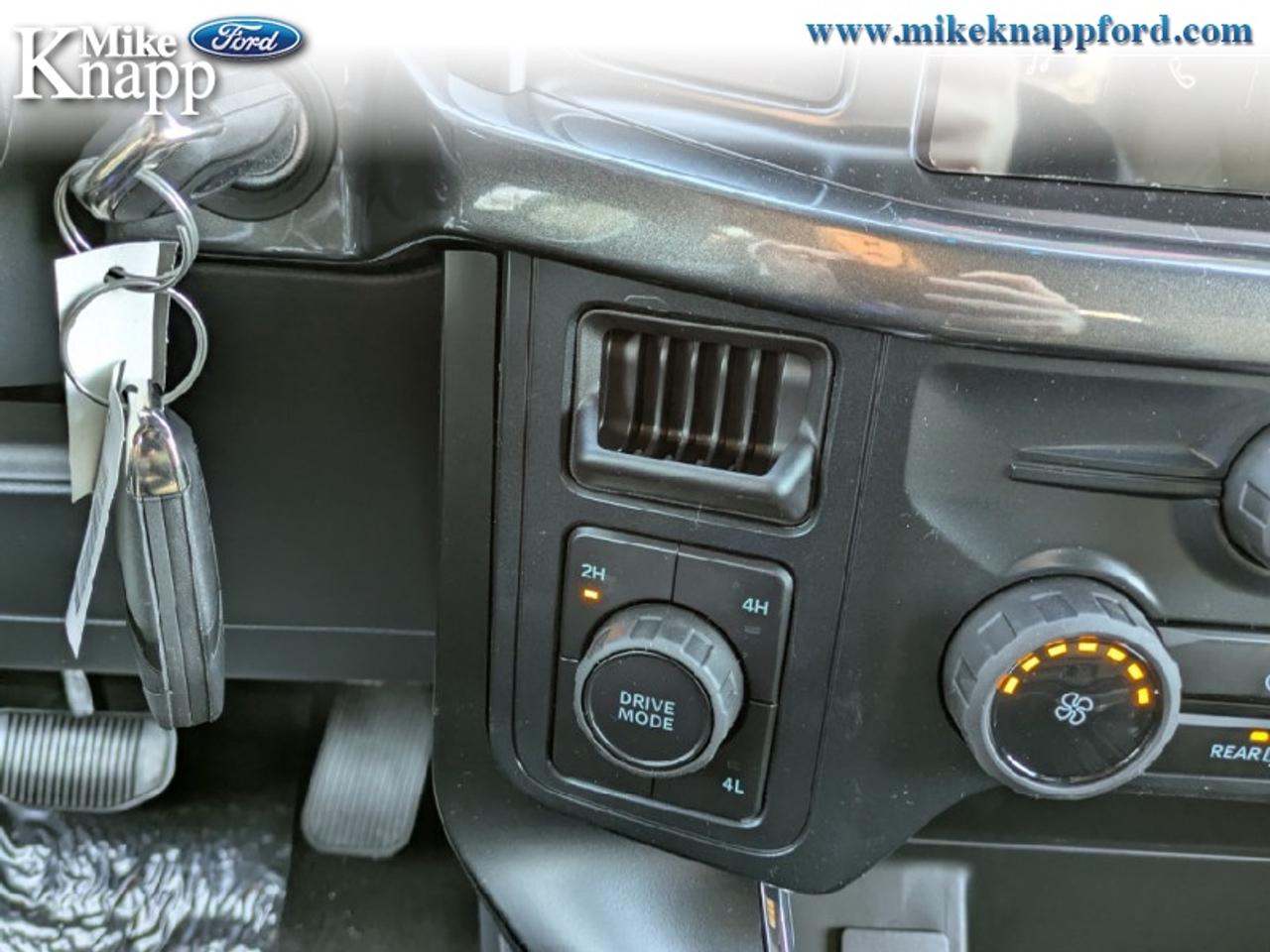 2026 Ford F-150 STX Photo