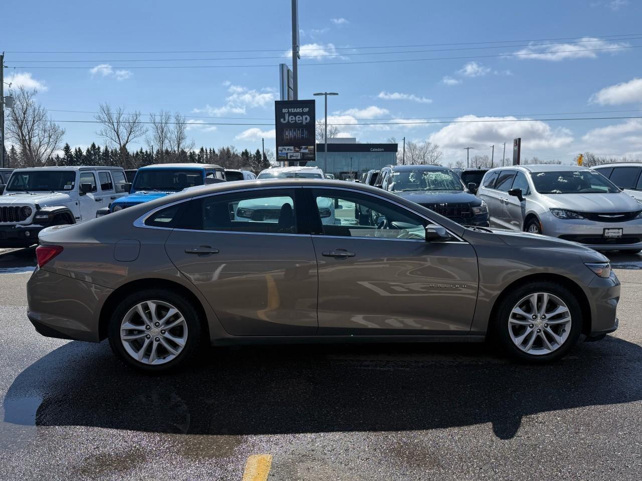 2017 Chevrolet Malibu  Photo