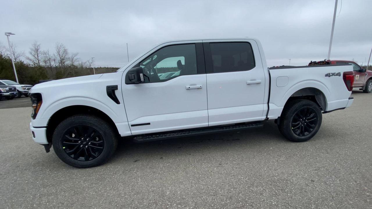 2026 Ford F-150 XLT Photo