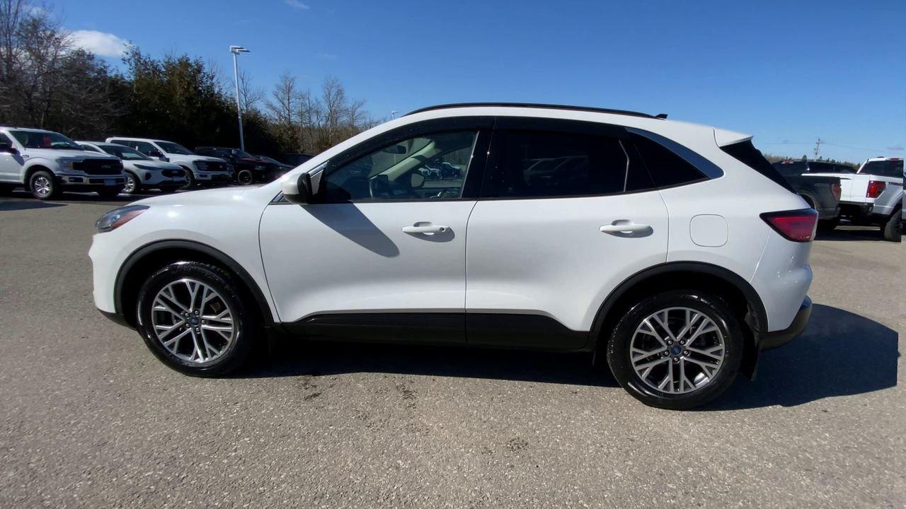 2020 Ford Escape SEL Photo