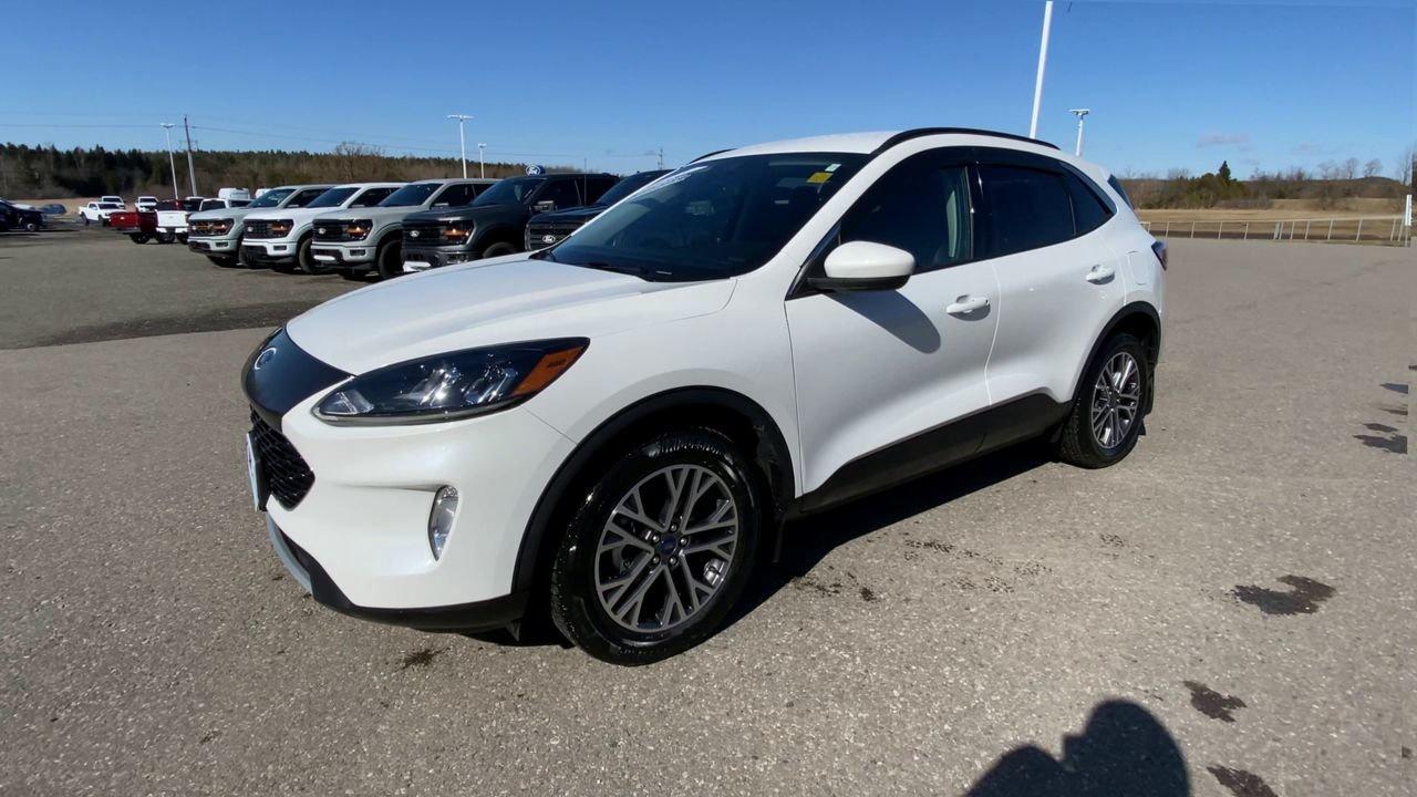 2020 Ford Escape SEL Photo3