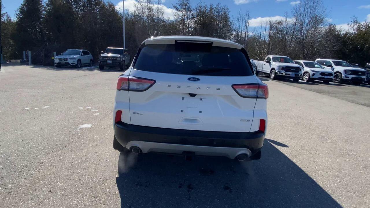 2020 Ford Escape SEL Photo