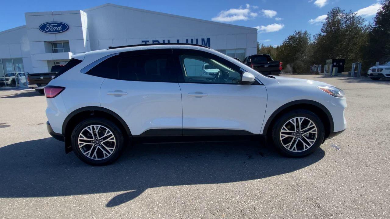 2020 Ford Escape SEL Photo