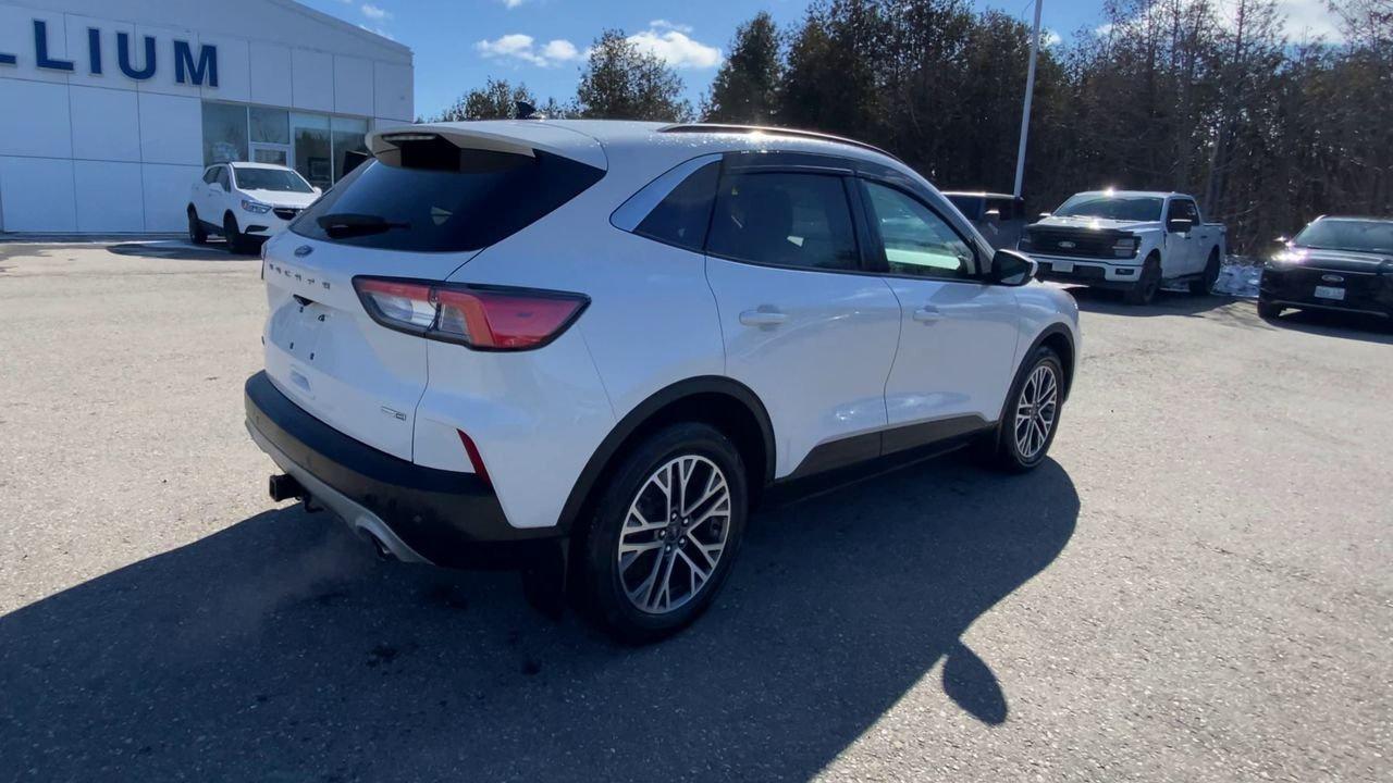 2020 Ford Escape SEL Photo