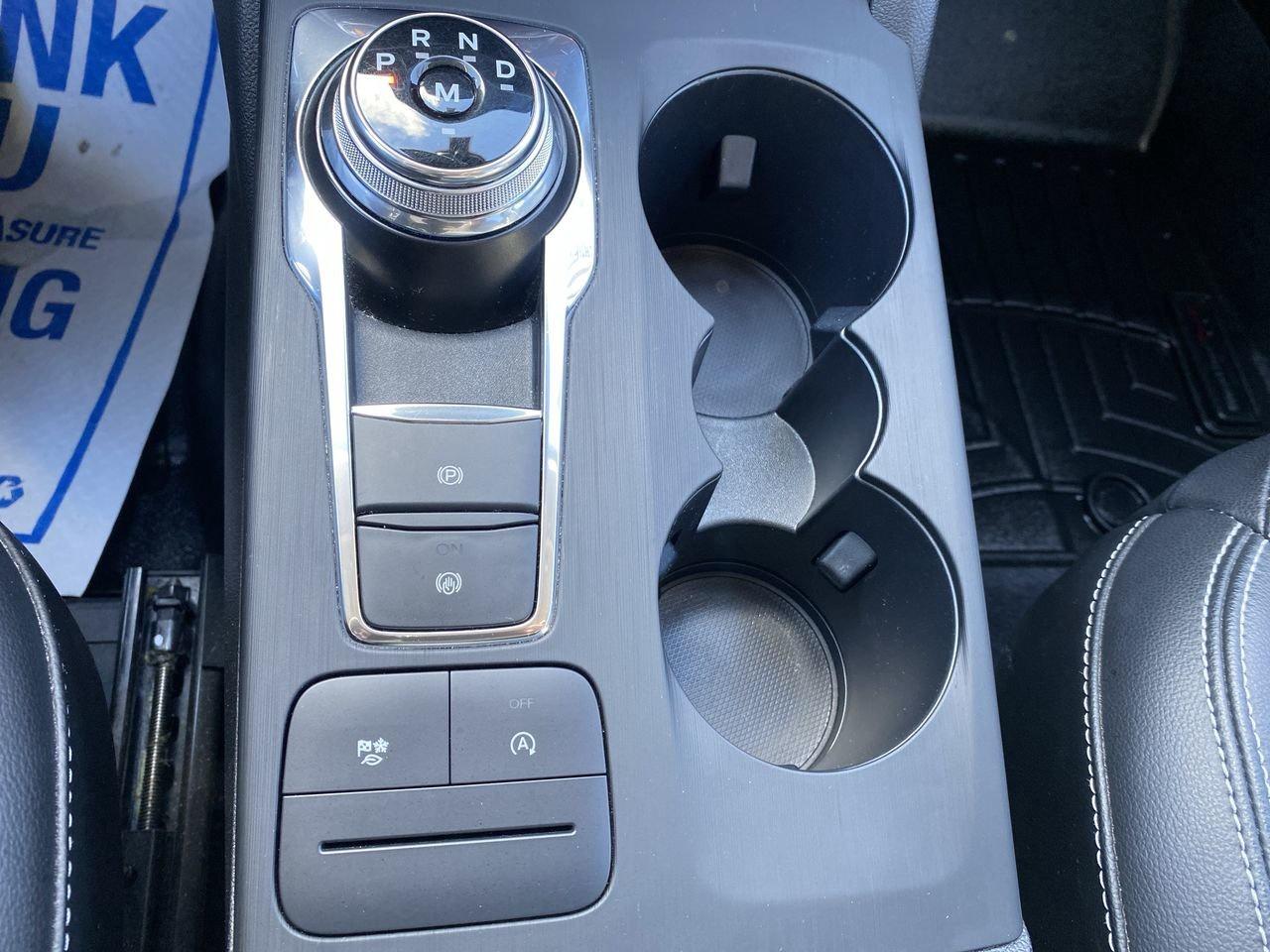 2020 Ford Escape SEL Photo