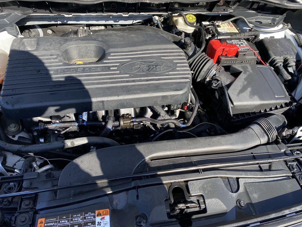 2020 Ford Escape SEL Photo