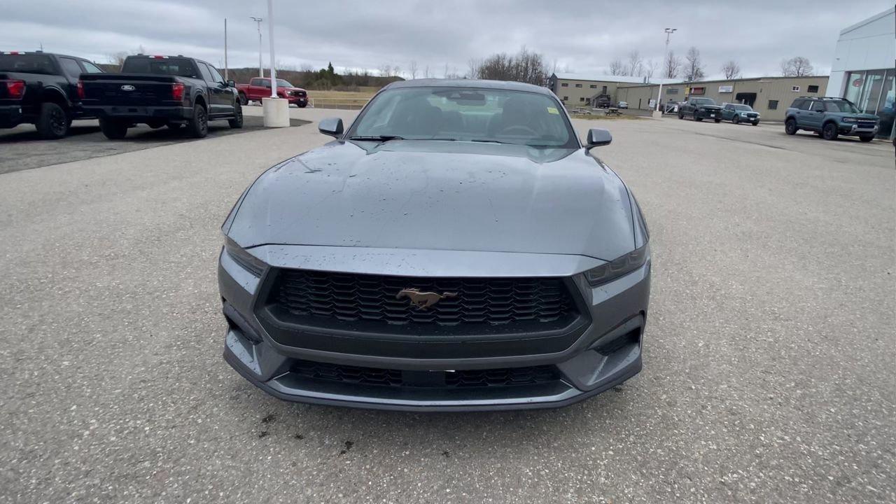 2026 Ford Mustang EcoBoost Photo