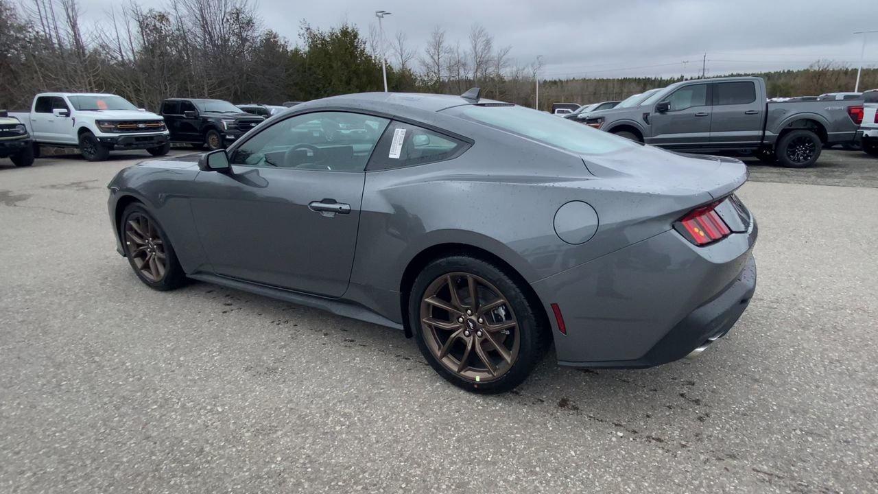 2026 Ford Mustang EcoBoost Photo