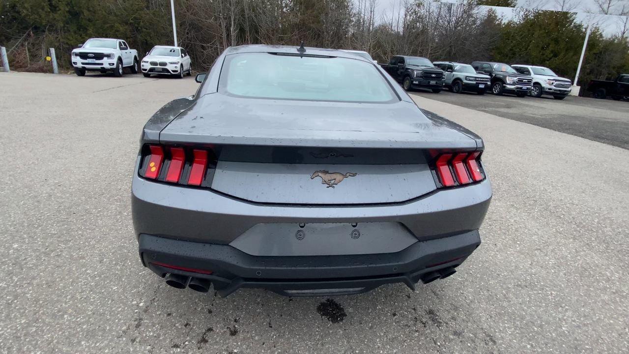2026 Ford Mustang EcoBoost Photo