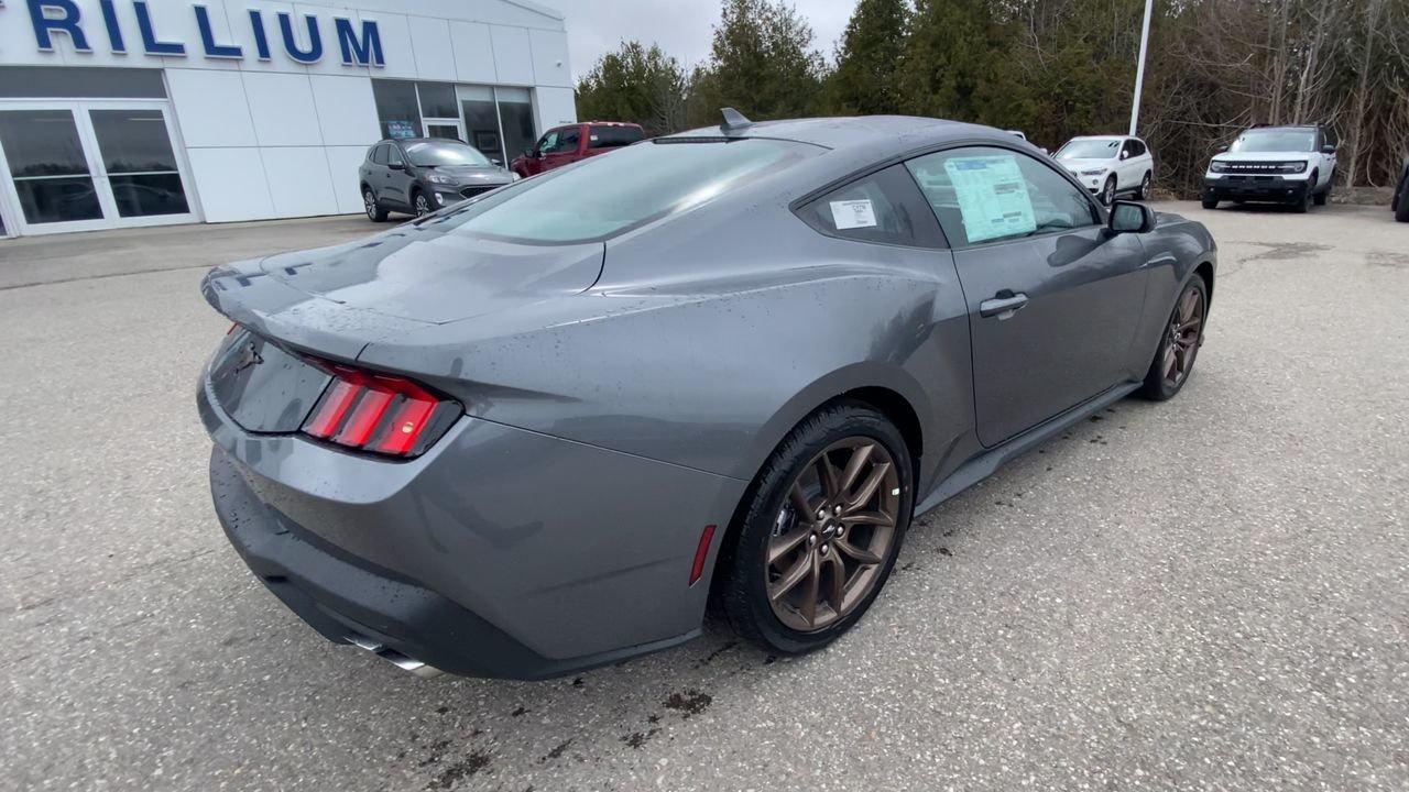 2026 Ford Mustang EcoBoost Photo