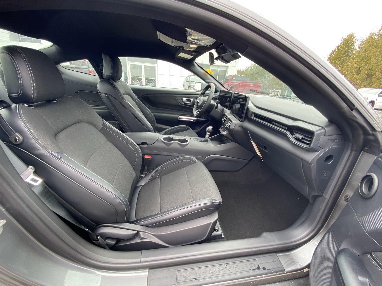2026 Ford Mustang EcoBoost Photo
