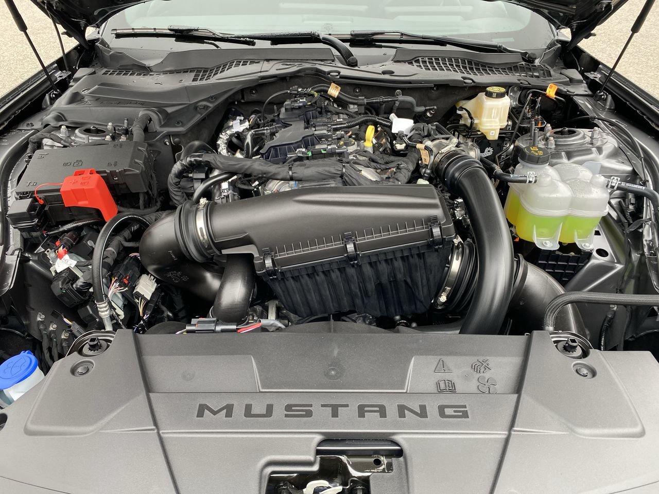 2026 Ford Mustang EcoBoost Photo