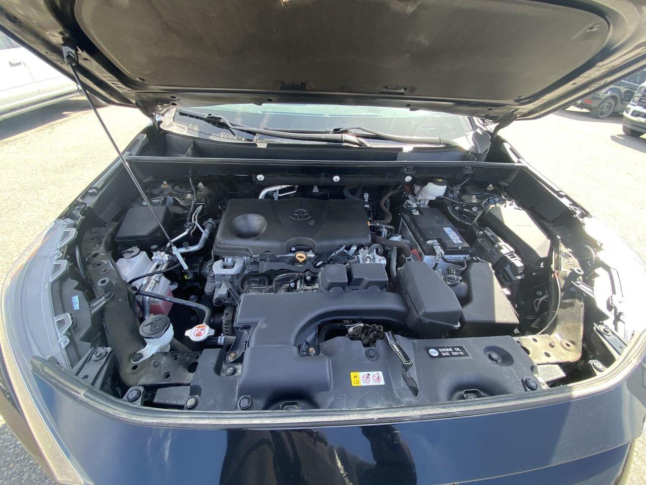 2022 Toyota RAV4 LE Photo