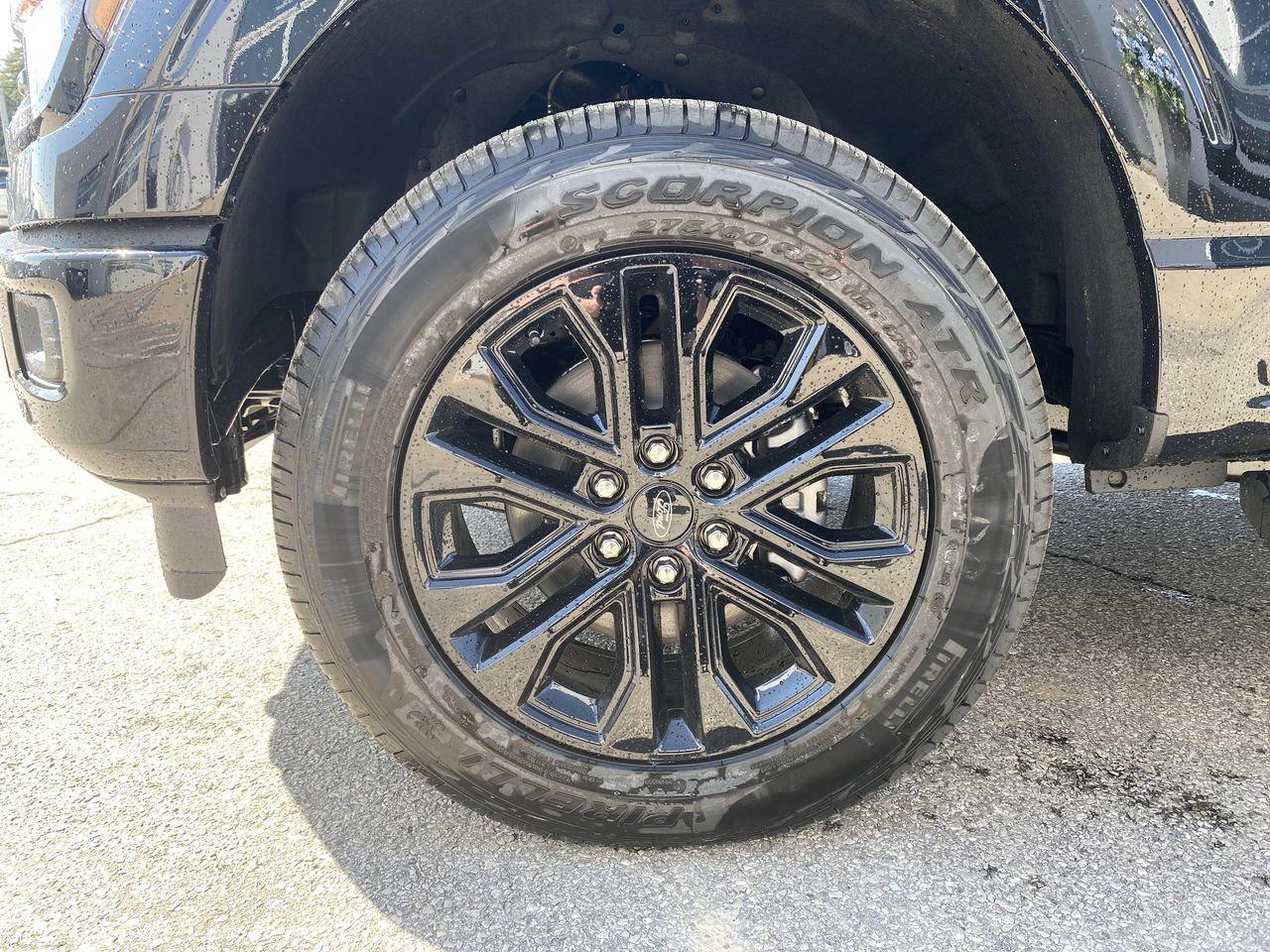 2026 Ford F-150 XLT Photo