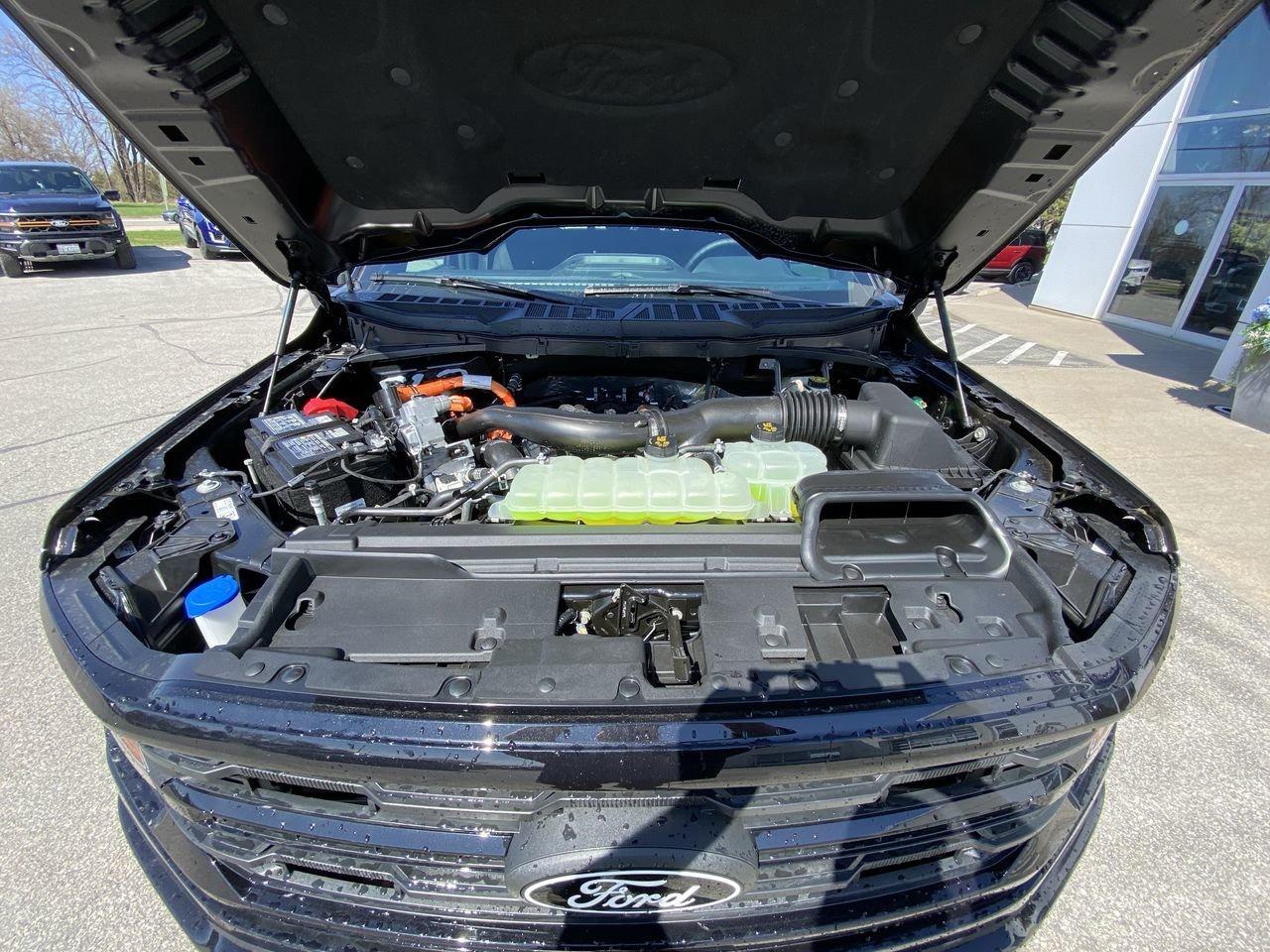 2026 Ford F-150 XLT Photo