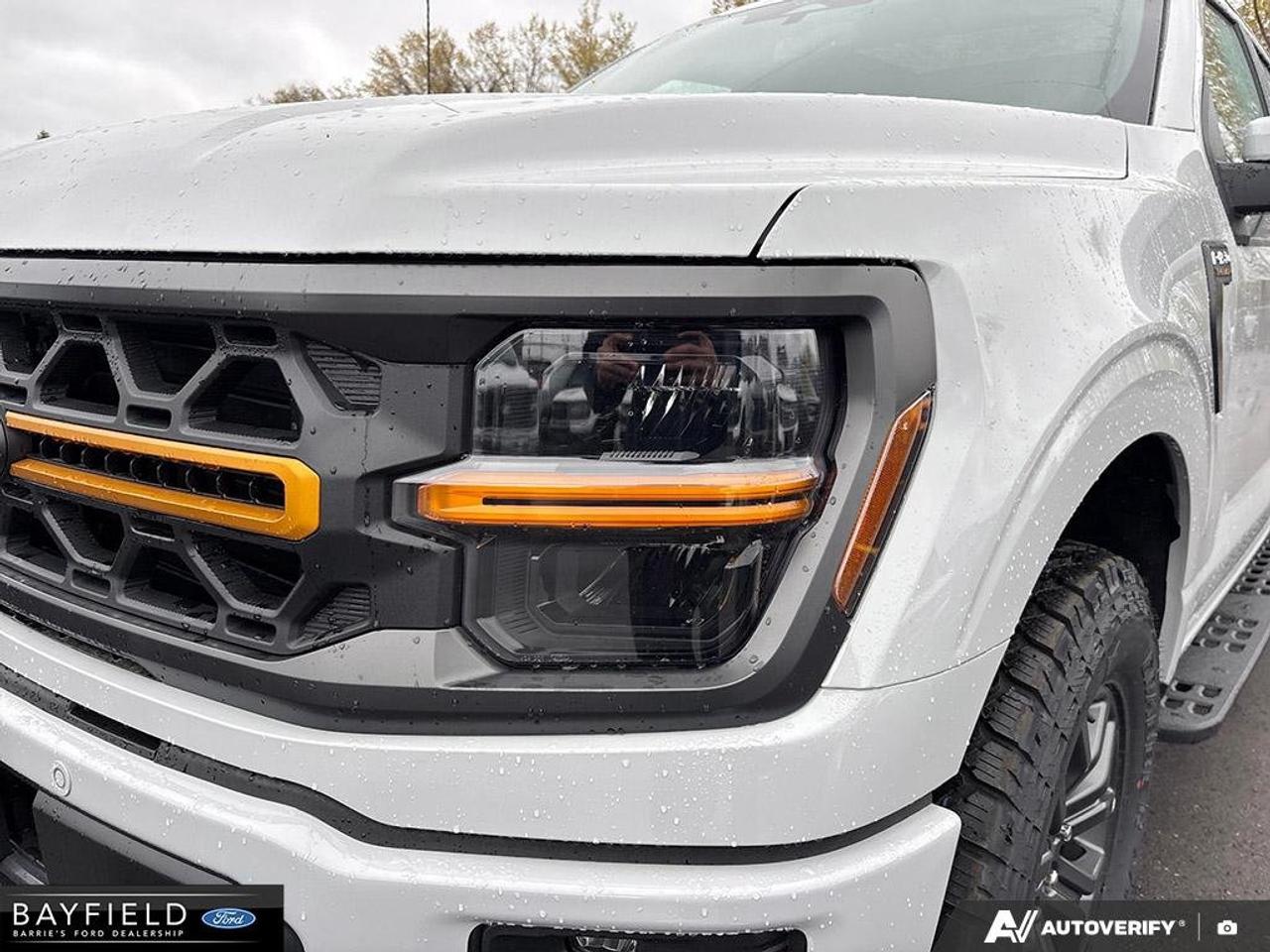 2026 Ford F-150 Tremor Photo