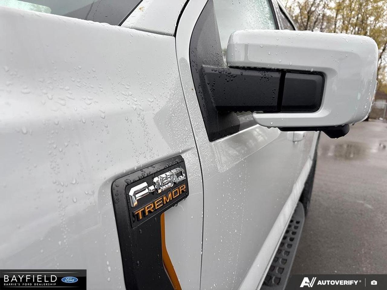2026 Ford F-150 Tremor Photo