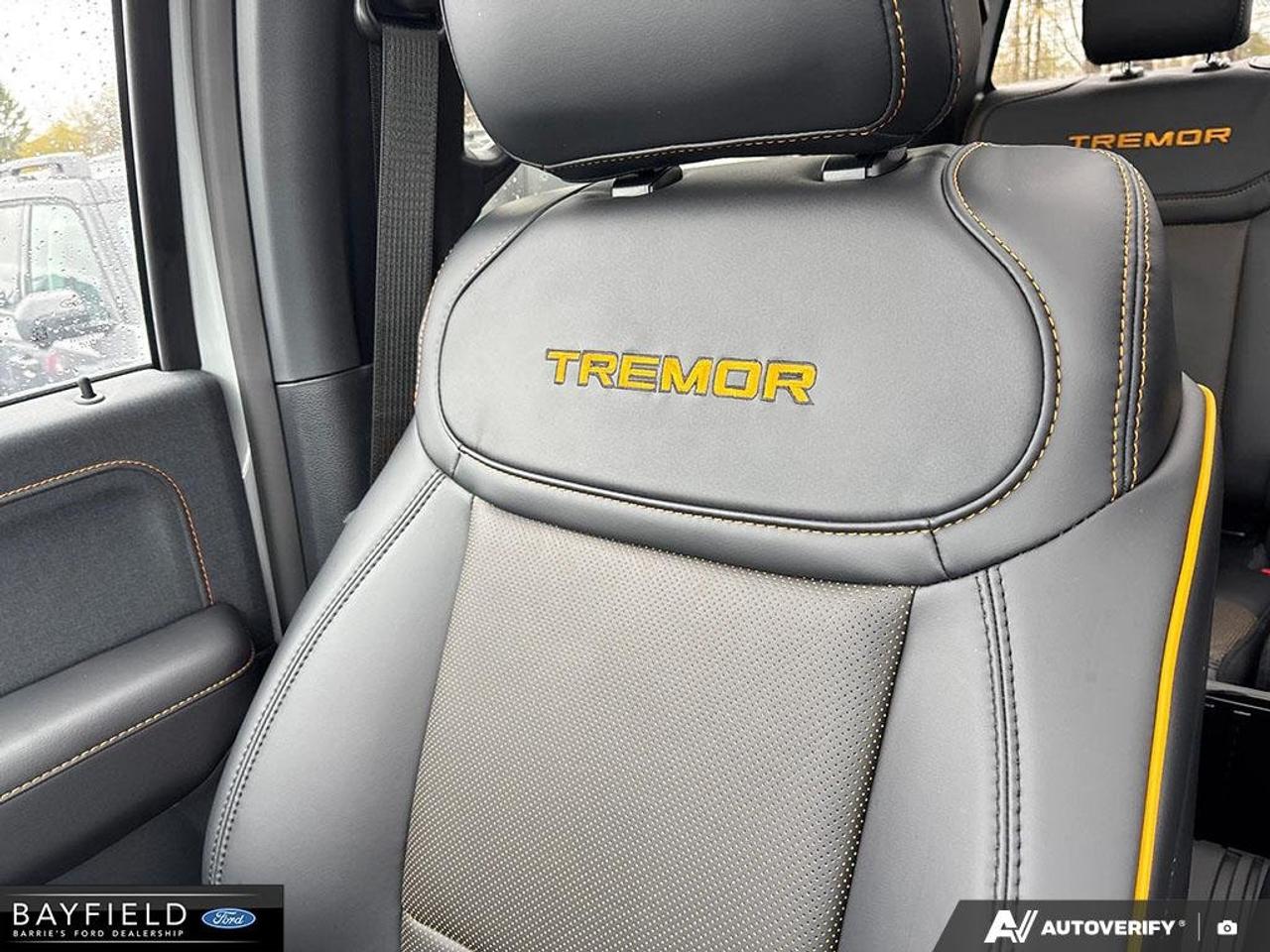 2026 Ford F-150 Tremor Photo