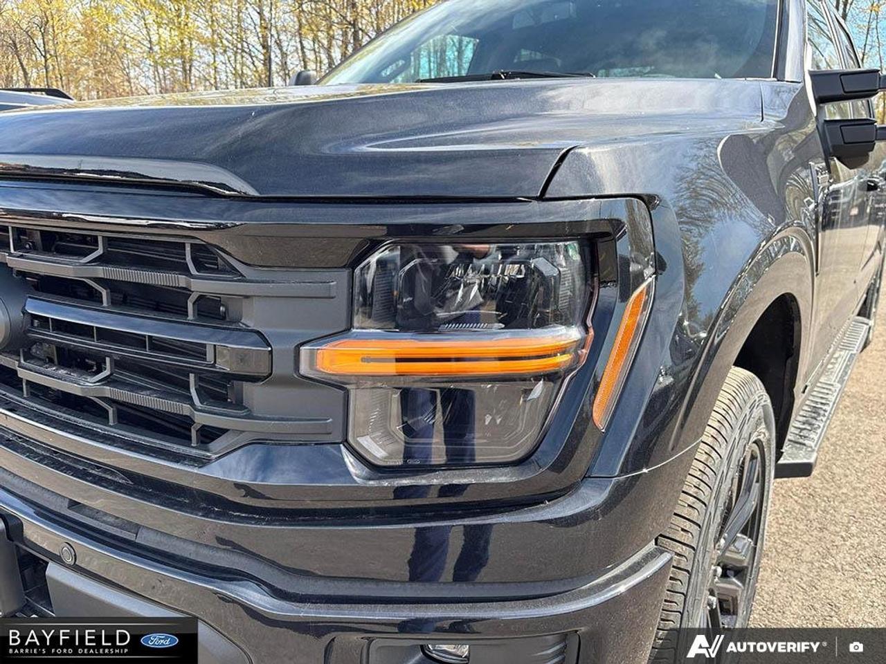 2026 Ford F-150 XLT Photo