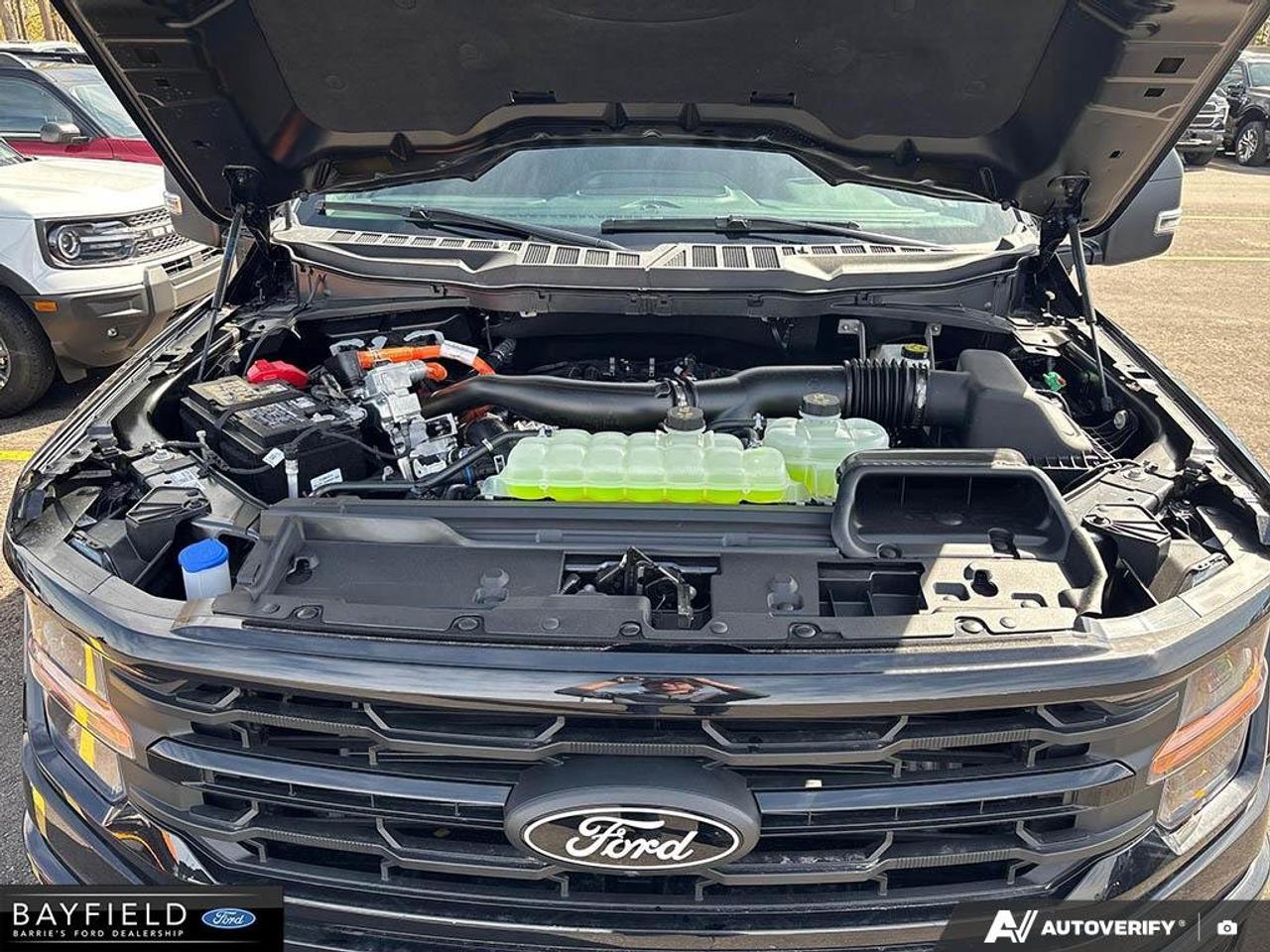 2026 Ford F-150 XLT Photo