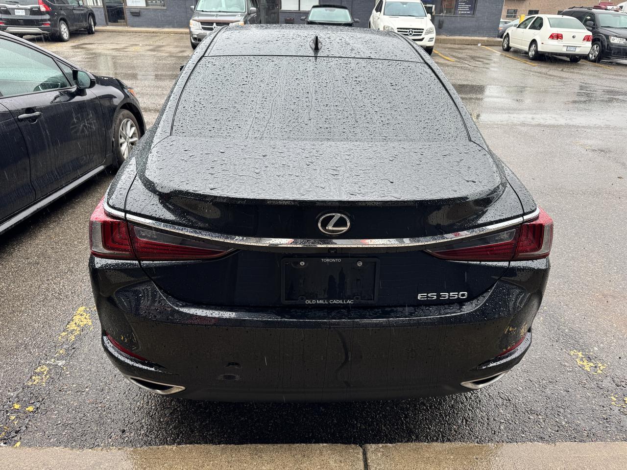 2019 Lexus ES ES 350 Photo