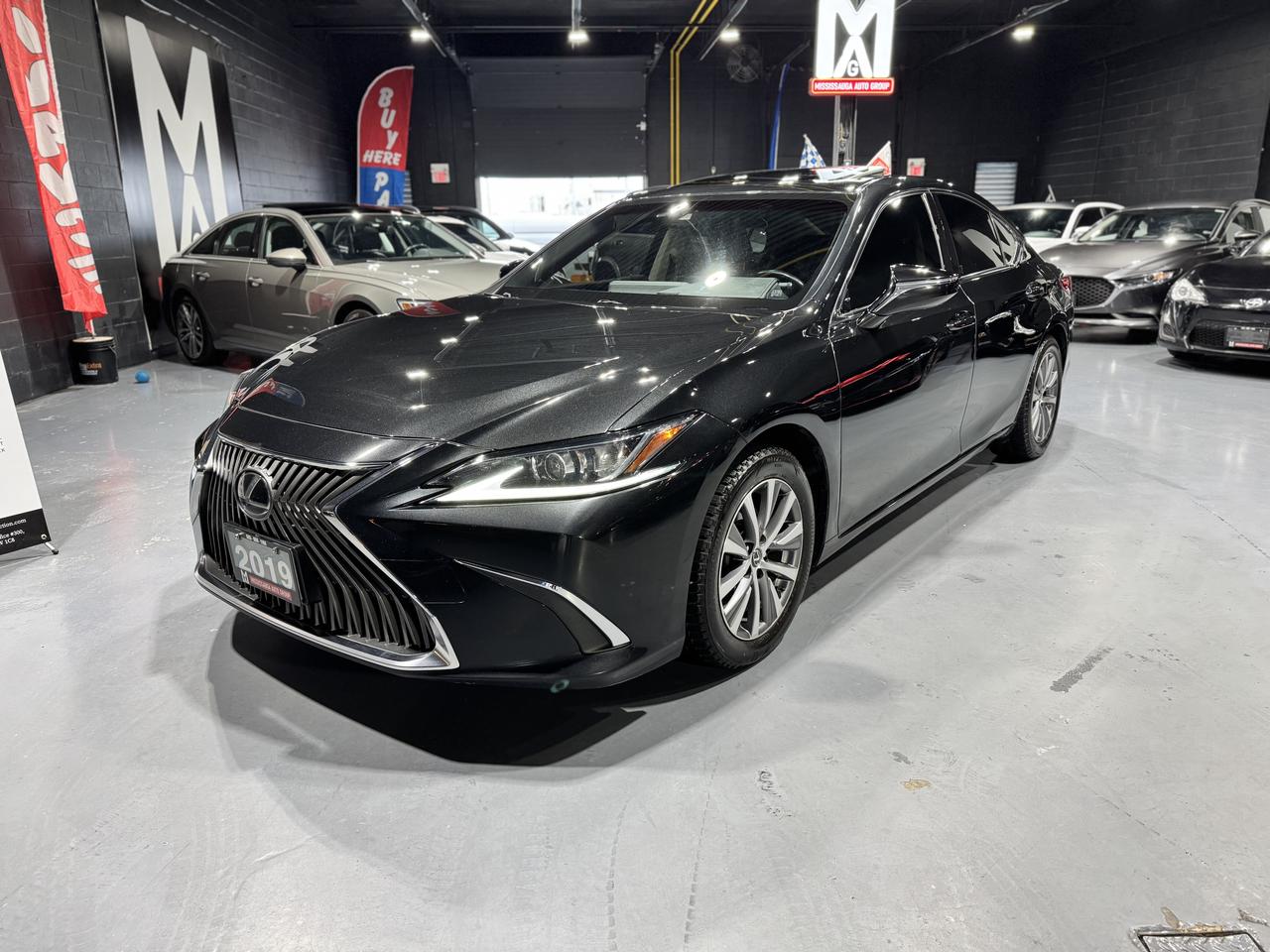 <p data-start=111 data-end=232><strong data-start=114 data-end=171>2019 Lexus ES 350 &ndash; Luxury, Reliability & Performance</strong><br data-start=171 data-end=174><strong data-start=177 data-end=199>ONLY $24,000 + TAX</strong><br data-start=199 data-end=202>⚫ Black on Black | 180,000 KMs</p><p data-start=111 data-end=232>Tinted, Remote starter, Freshly detailed and polished !</p><p data-start=234 data-end=479>Drive in comfort and class with this <strong data-start=271 data-end=291>2019 Lexus ES350</strong> &mdash; the perfect blend of luxury, smooth performance, and legendary Lexus reliability. Ideal for professionals, commuters, and anyone looking for an upscale sedan without the high price tag.</p><p data-start=481 data-end=677>✨ <strong data-start=483 data-end=498>Highlights:</strong><br data-start=498 data-end=501>✔ Powerful & Smooth V6 Engine<br data-start=530 data-end=533>✔ Premium Black Leather Interior<br data-start=565 data-end=568>✔ Ultra Comfortable & Quiet Ride<br data-start=600 data-end=603>✔ Well Maintained | Highway Driven<br data-start=637 data-end=640>✔ Luxury Features & Advanced Safety</p><p data-start=679 data-end=821>💳 <strong data-start=682 data-end=727>FLEXIABLE PAYMENT OPTION AVAILABLE &ndash; ALL CREDIT APPROVED</strong><br data-start=727 data-end=730>🛡 <strong data-start=733 data-end=771>Warranty & GAP Insurance Available (Additional Charges)</strong><br data-start=771 data-end=774>🛠 <strong data-start=777 data-end=819>Safety Certification Available <strong data-start=733 data-end=771>(Additional Charges)</strong></strong></p><hr data-start=823 data-end=826><p data-start=828 data-end=961>📍 <strong data-start=831 data-end=857>Mississauga Auto Group</strong><br data-start=857 data-end=860>2666 Royal Windsor Dr Unit 11 & 12, Mississauga<br data-start=907 data-end=910>📞 905-808-1198<br data-start=925 data-end=928>🌐 <a class=decorated-link href=http://www.mississaugaautogroup.com target=_new rel=noopener data-start=931 data-end=959>www.mississaugaautogroup.com</a></p><hr data-start=963 data-end=966><p data-start=1006 data-end=1361><strong data-start=1006 data-end=1047>2019 Lexus ES350 for sale Mississauga</strong><br data-start=1047 data-end=1050><strong data-start=1050 data-end=1085>Used Lexus ES350 Ontario Canada</strong><br data-start=1085 data-end=1088><strong data-start=1088 data-end=1125>Luxury sedan for sale Mississauga</strong><br data-start=1125 data-end=1128><strong data-start=1128 data-end=1158>Affordable Lexus ES350 GTA</strong><br data-start=1158 data-end=1161><strong data-start=1161 data-end=1199>Black Lexus ES350 for sale Ontario</strong><br data-start=1199 data-end=1202><strong data-start=1202 data-end=1238>Reliable luxury cars Mississauga</strong><br data-start=1238 data-end=1241><strong data-start=1241 data-end=1285>Lexus ES350 financing bad credit Ontario</strong><br data-start=1285 data-end=1288><strong data-start=1288 data-end=1320>Executive sedan for sale GTA</strong><br data-start=1320 data-end=1323><strong data-start=1323 data-end=1359 data-is-only-node=>Highway mileage Lexus ES350 deal</strong></p><p>CARFAX LINK : https://vhr.carfax.ca/?id=21dnnl2zn7ZpjgAtAgAe45F+ijYq1O7r</p>