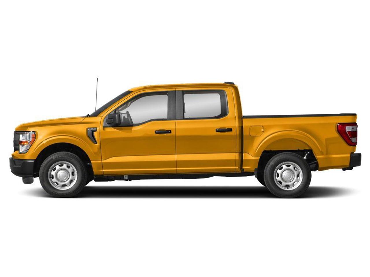 2023 Ford F-150  Photo