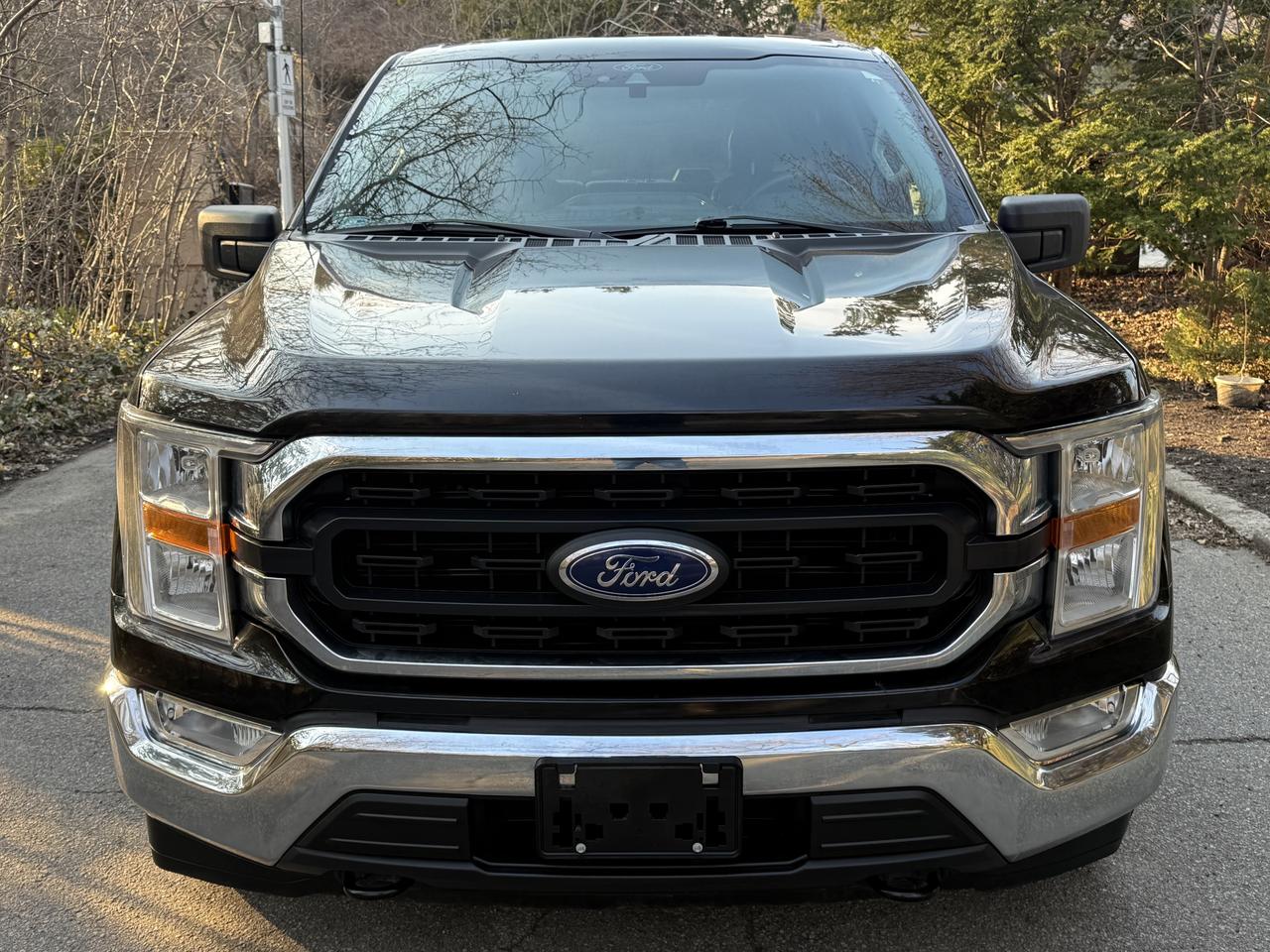 2021 Ford F-150 XLT Photo