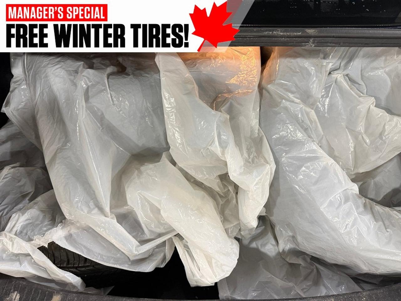 2021 Toyota Corolla LE CVT Photo