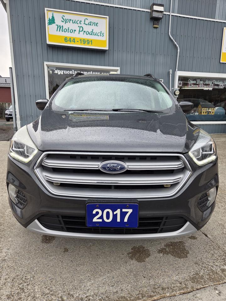 2017 Ford Escape SE Photo