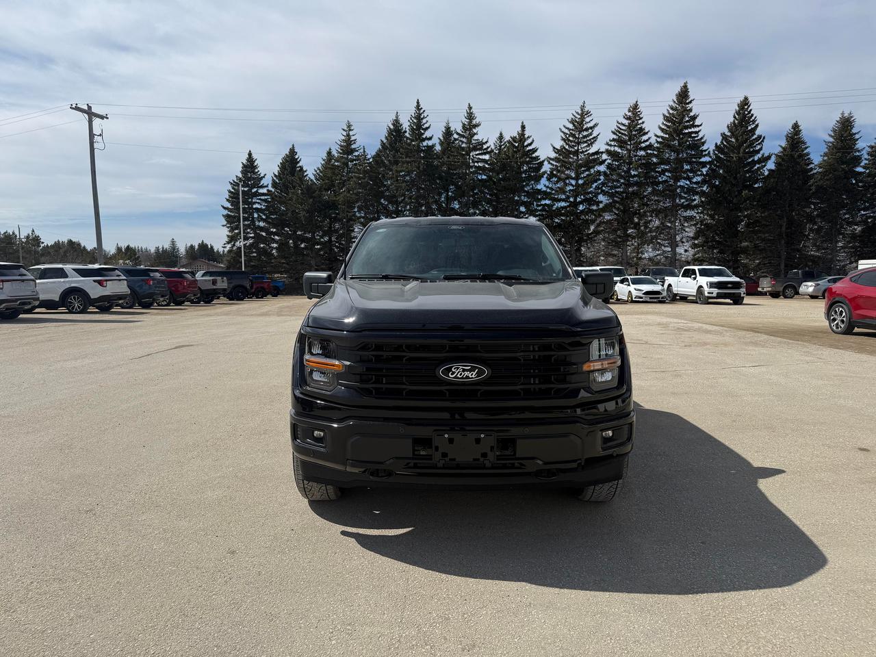 2026 Ford F-150 XLT 4WD SuperCrew 5.5' Box Photo2