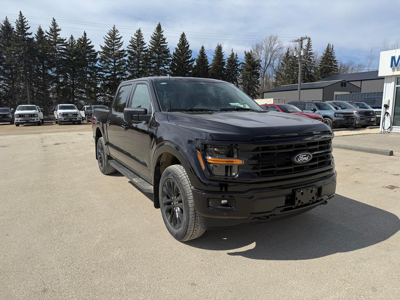 2026 Ford F-150 XLT 4WD SuperCrew 5.5' Box Photo1