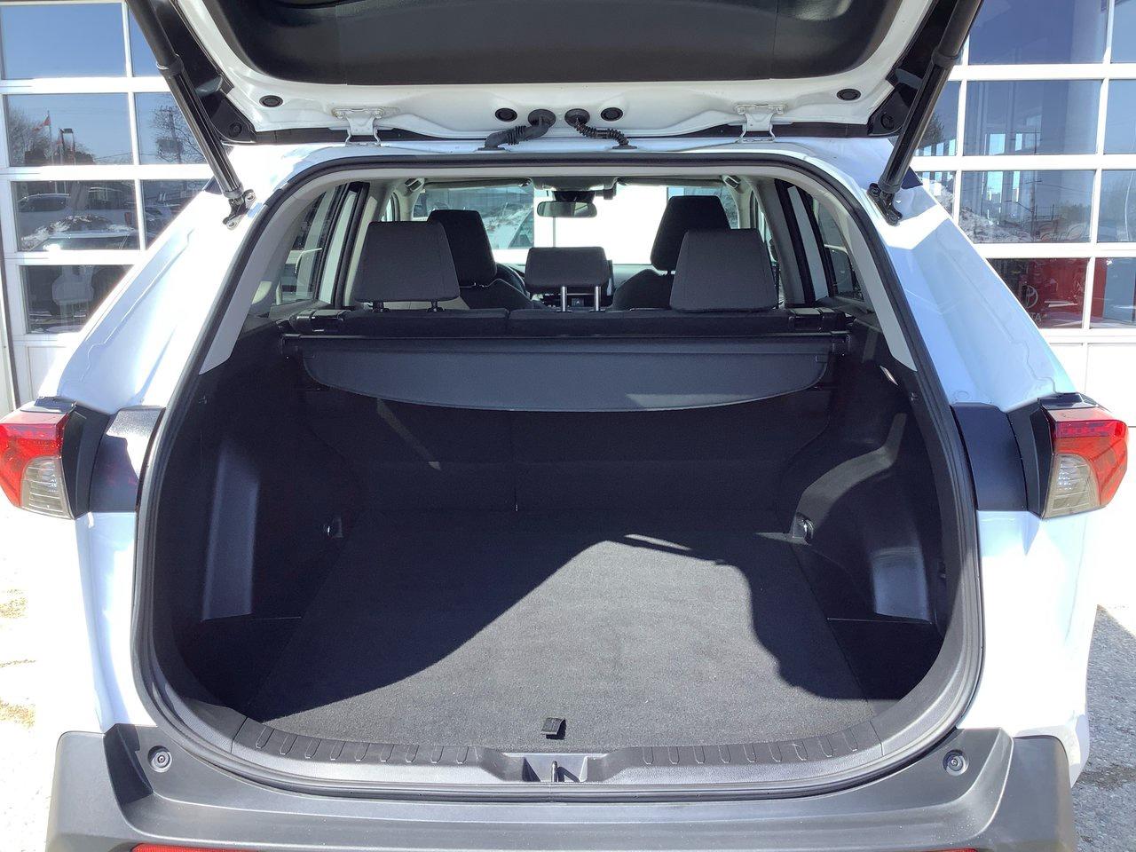 2022 Toyota RAV4 XLE AWD XLE Photo